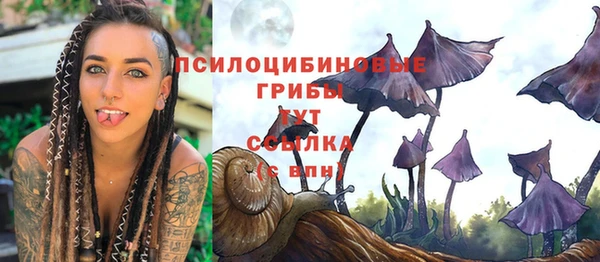 героин Алзамай